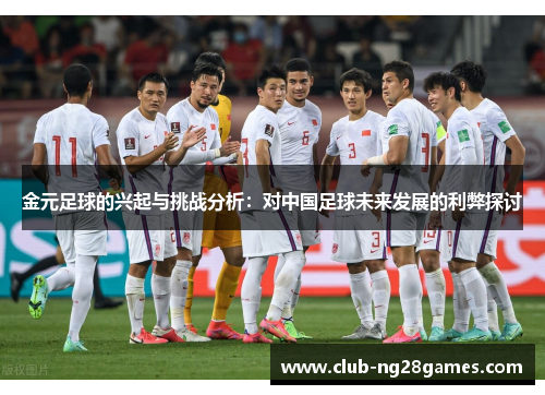 金元足球的兴起与挑战分析：对中国足球未来发展的利弊探讨