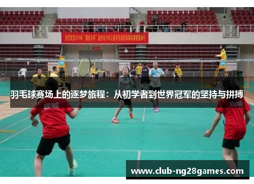 羽毛球赛场上的逐梦旅程：从初学者到世界冠军的坚持与拼搏
