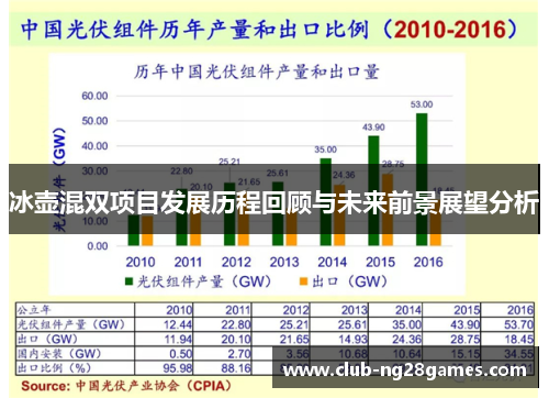 冰壶混双项目发展历程回顾与未来前景展望分析