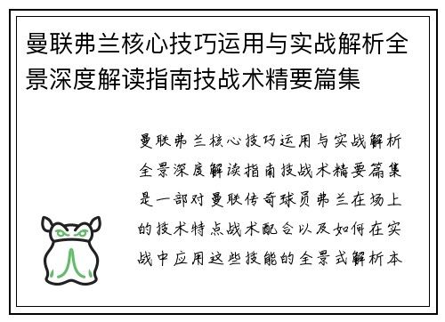 曼联弗兰核心技巧运用与实战解析全景深度解读指南技战术精要篇集