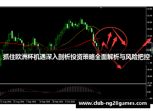 抓住欧洲杯机遇深入剖析投资策略全面解析与风险把控